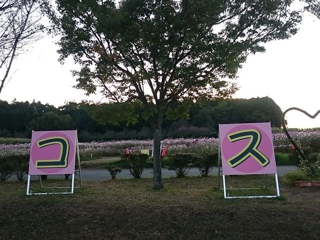 ԏ̃RXX_ersuӂꂠZ^[Hʊ