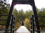 hocsai奂̊≮̓eʐ^2