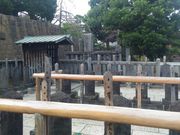 kuriyumi����̐�쒷��E�ԕ�`�m��̓��e�ʐ^4