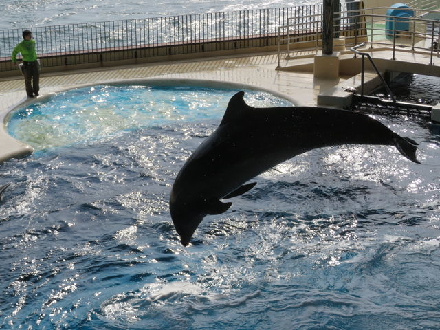 �C���J_���֎s�������̂��������فE�C����