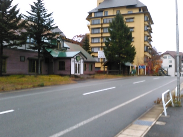 ���]�[�g�n�Ƃ��������͋C�ł��B_�c��΍���