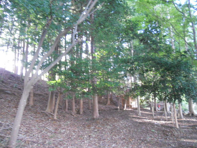 񂳂̎jՔіÕQ̓eʐ^3