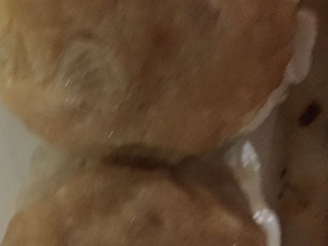 }񂳂̖H p`551̓eʐ^1