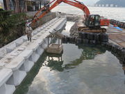 Ԃ񂳂̕Ƃ̈t̓eʐ^2