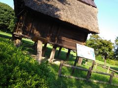 伊場遺跡公園の口コミ一覧 じゃらんnet