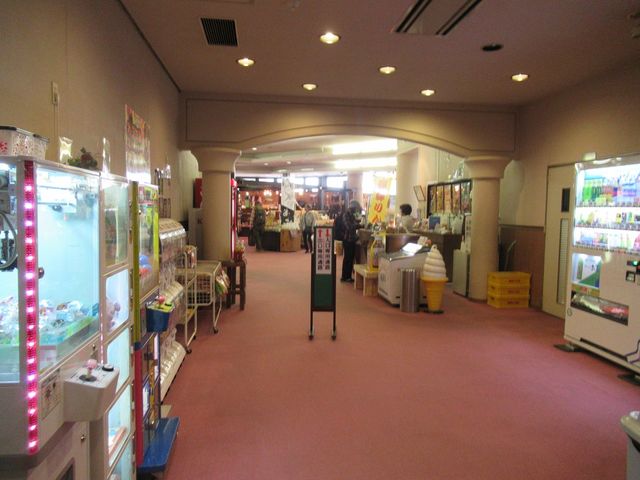 ߋT|~̔ˋR̓eʐ^2