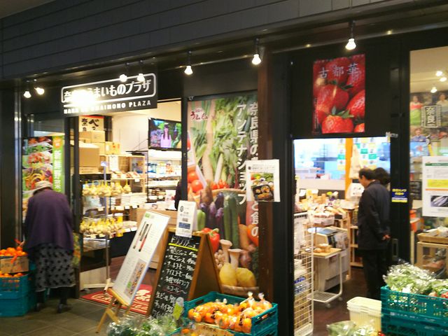 X܊O_uޗǂ̂܂̃vUv_XguÓs؁v