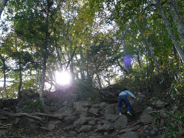 ȂȂ邳̐sRRώ@̐X̓eʐ^2