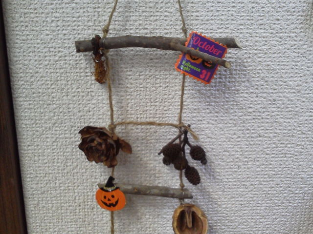 �N���t�g�W���i_���s�����R���R�ώ@�̐X