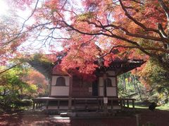 �ߋT���|�~���̋ʗ����ւ̓��e�ʐ^1