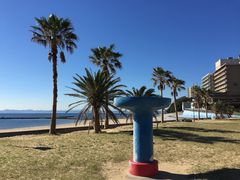 西浦温泉パームビーチ 海水浴場 の写真一覧 じゃらんnet