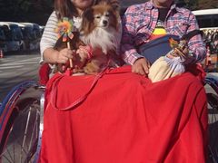 [񂳂̐l͎ԂɂiɐXjւ̓eʐ^1