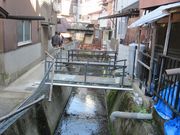 ߋT|~̔ˊXRh@؍߂̓eʐ^1