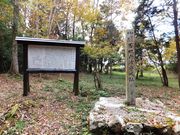 ڂ炳̕SnԐՂ̓eʐ^1