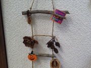 ȂȂ邳̐sRRώ@̐X̓eʐ^3