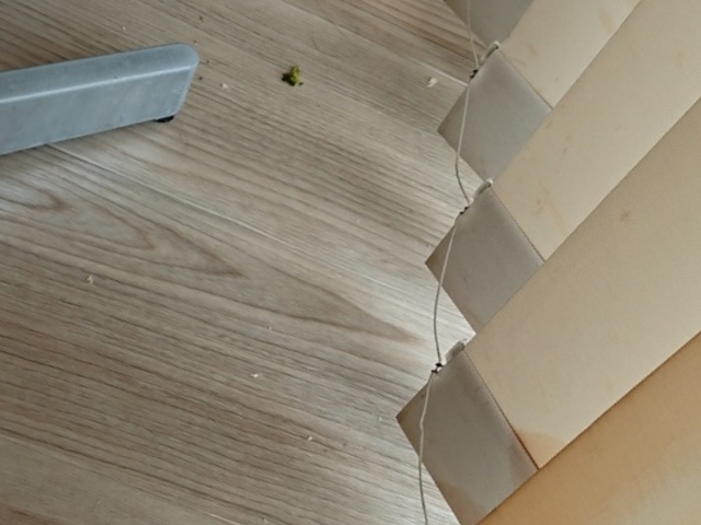 ���̐H�ׂ�������_�����u�����g�z�e���������c�@�J�t�F�_�C�j���O�p�[���c���[