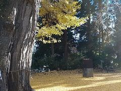 A̐V{F_Ёuvւ̓eʐ^1