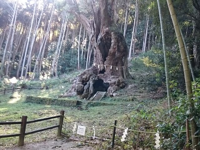 �_�Ђɂ͑�������܂�_���Y�_�Ђ̔�O����