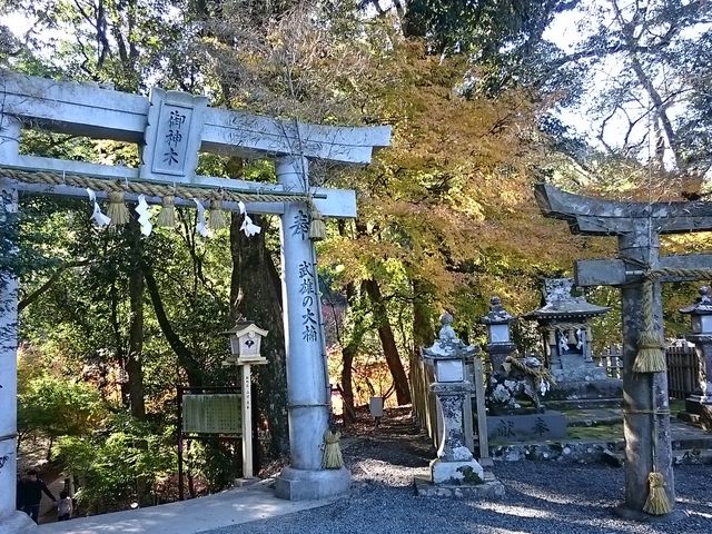 ����_���Y�_�Ђ̔�O����