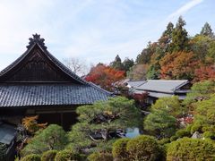 ڂ炳̕Sώ@{V쌩@ւ̓eʐ^1