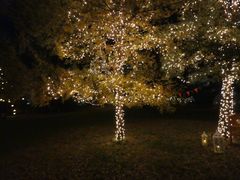 C̐v~AEAEgbgւ̓eʐ^1