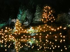 C̐v~AEAEgbgւ̓eʐ^2