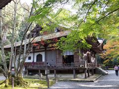 ڂ炳̕Sώ@{ւ̓eʐ^1