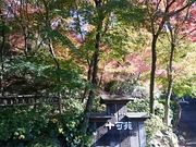 񂿂񂳂̏\̓eʐ^1