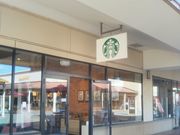 usãX^[obNX R[q[ Xv~AEAEgbgXiStarbucks Coffeej̓eʐ^1