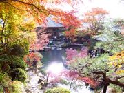 ڂ炳̕Sώ뉀̓eʐ^1