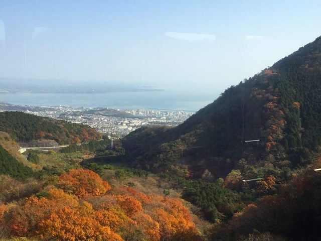 [vEFC͕ʕ{pnIɌĉExX|WB_ʕ{[vEFC