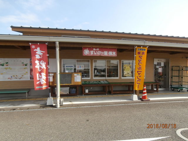 �X��_���̉w �������̗� �A��
