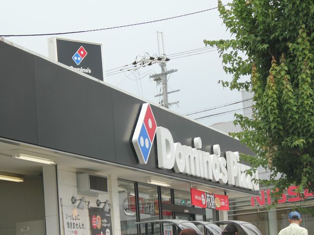 Gh̑zsŨh~mEsU 痢XiDominofsj̓eʐ^1