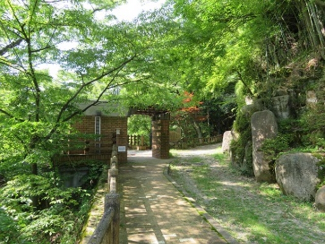 ���g�����V����_���g�����V����