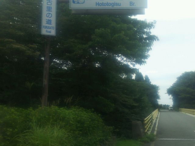 ��������̂قƂƂ������̓��e�ʐ^1