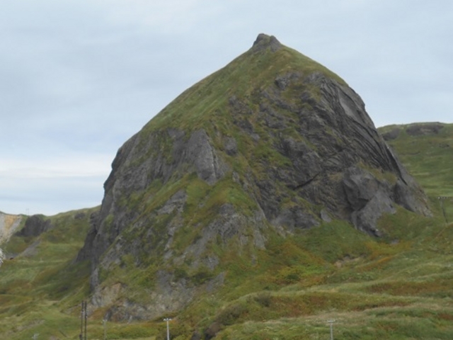 ����_����