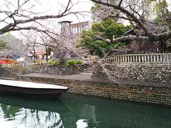 �˂�����񂳂�̑D���`�Ղւ̓��e�ʐ^1