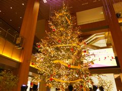 jR񂳂KITTEÉiLbeÉjւ̓eʐ^1