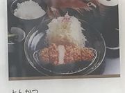 SHIN̂Ƃ񂩂aK RN[ܐVsSX̓eʐ^1