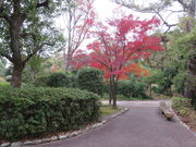 Ԃ񂳂̑q̂̓eʐ^1