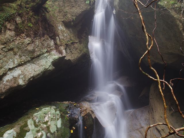 ̌kJ
  tokio.i_SԎRkJ