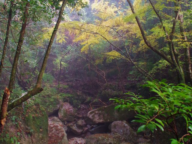 ̌kJ
@tokio.i_SԎRkJ