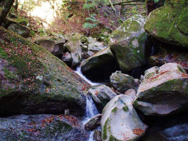 ̌kJ
   tokio.i_SԎRkJ