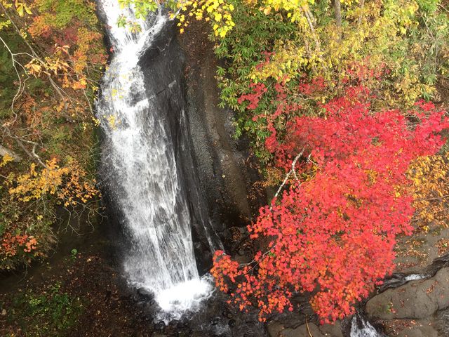 橋の上から_三段の滝