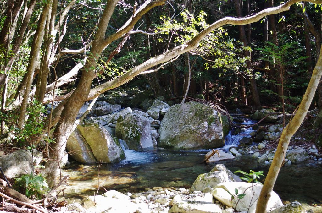 すさみ町（西牟婁郡）の観光スポットランキングTOP10 - じゃらんnet