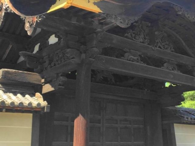 �哿���@���g��_�哿��