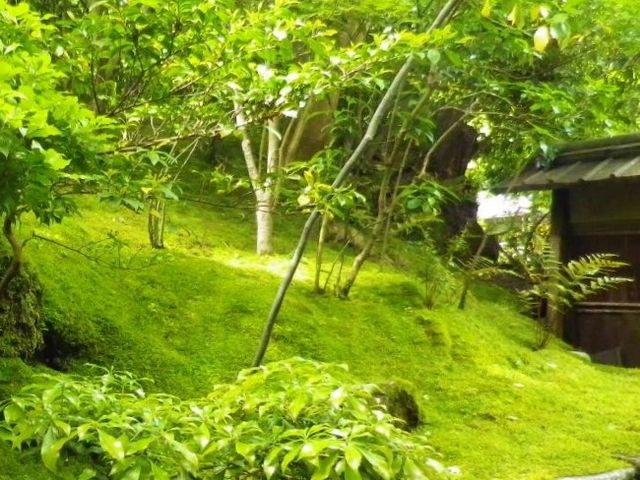 �΁A�΁A�΂Ɉ͂܂ꂽ�뉀_�ڗ����@