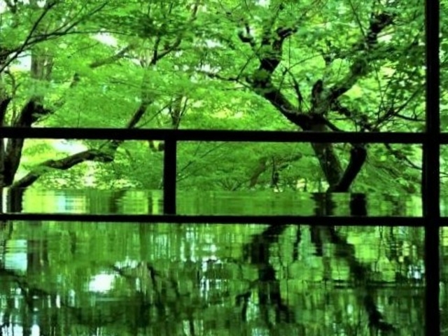 �����݂�_�ڗ����@