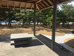 悵̐_˂݂ȂƉ @ւ̓eʐ^1