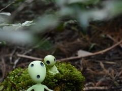 ���v���g���b�L���O�K�C�h�����܂̎ʐ^1